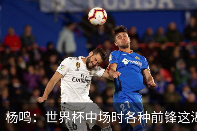杨鸣：世界杯中场时各种前锋这渴了那饿了全来了 谁能记住后卫呢